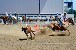 3HRodeo8-11-25_PRCASteer_03933_