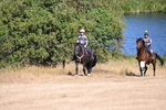 WJ6_7881