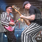 The Smooth Hounds-46