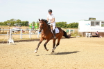 SBM_002688