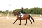 SBM_006377