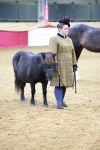 SBM_00347