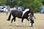 WJ6_5271