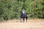 WJ6_7314