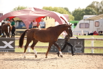 SBM_07054