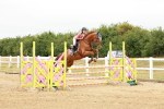 SBM_016093