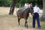 WJ6_7965