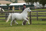 SBM_00496