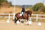 SBM_017888