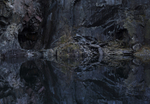 Mine Reflections