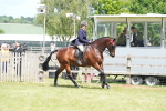 SBM_15881