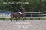 BPP_2001