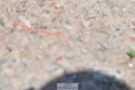 230520A-122304-00810