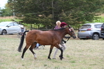 WJ6_6173