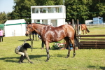 SBM_19281