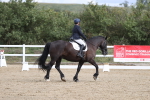 SBM_001433