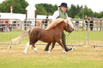 SBM_04440