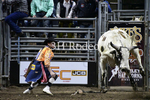 Bulfighters_DSC1836