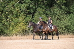 WJ6_7848