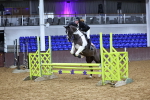 SBM_002062