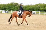 SBM_004896
