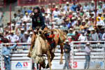 3HRodeo7-20-25_CFD_03305_