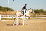 SBM_001919