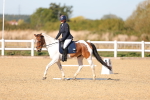 SBM_001421