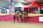 SBM_05294
