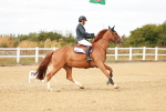 SBM_006866
