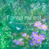 IS002 Forget Me Not