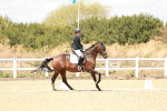 SBM_009917