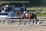 BPP_9330