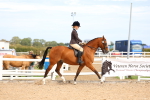 SBM_18295