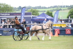 SBM_05613