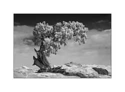 Monochrome portfolio