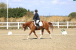SBM_013883