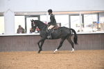 Class 36 - BSHA Style and Performance portfolio