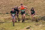 Loughrigg-469