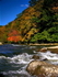 Fall Run