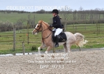 BPP_9733