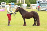 SBM_06309