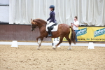 SBM_010906