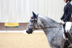 SBM_000984