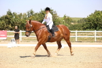 SBM_004136