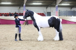 Class F - IH Small (148cm & Under)Champ portfolio