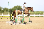 SBM_003710