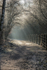 The Old Railway Line