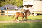 SBM_54390