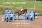 BPP_3916